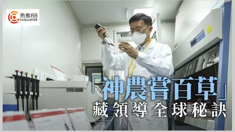 小标题：一、CRO优化概述