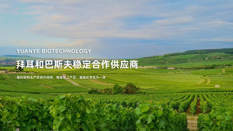 离心管定制：如何选择合适的厂家？**