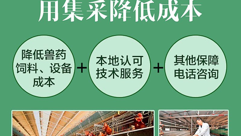 生物科技公司采购清单：如何构建高效采购策略**