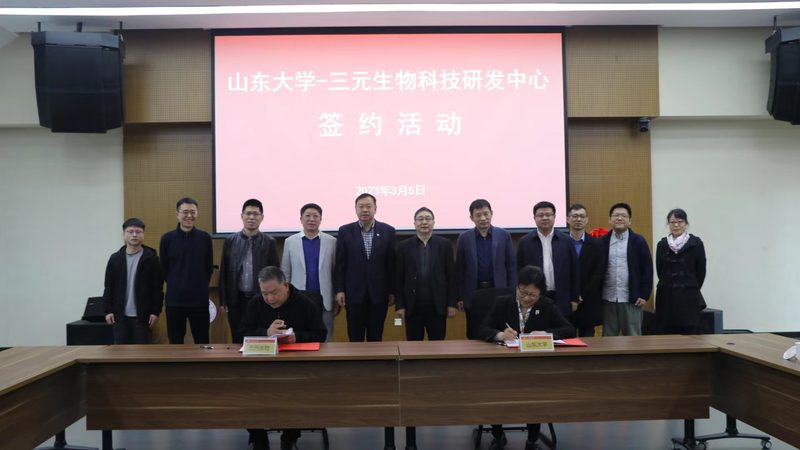人源化抗体定制：揭秘其研发背后的关键要素**