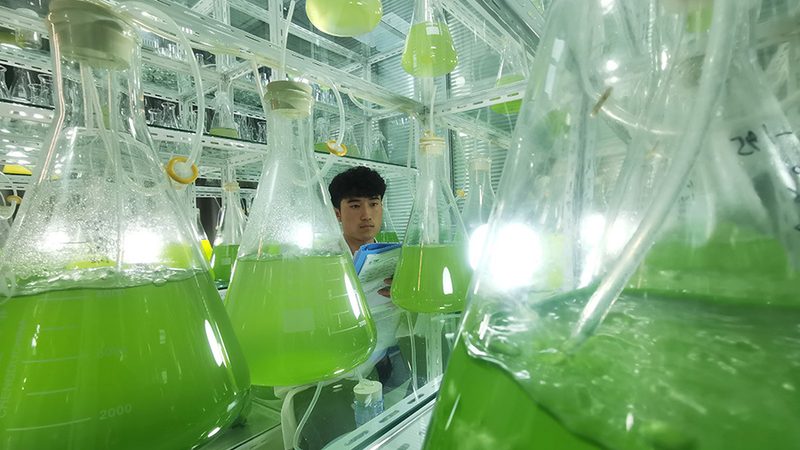 引物合成周期，OEM厂家的关键考量因素